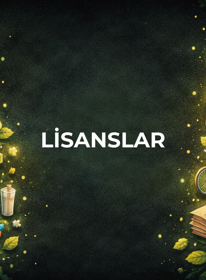 lİsanslar